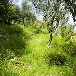 Gli Ulivi Sul Golfo E Le 5 Terre * 라스페치아