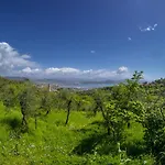 Gli Ulivi Sul Golfo E Le 5 Terre 아파트 *