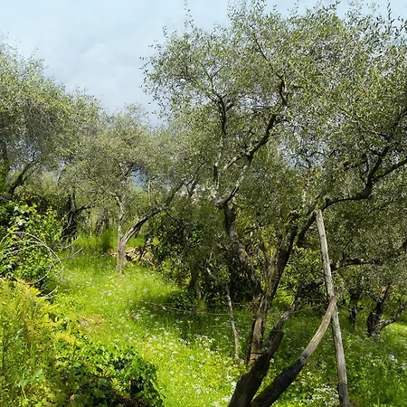 아파트 Gli Ulivi Sul Golfo E Le 5 Terre 라스페치아