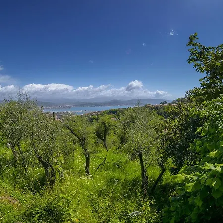 Gli Ulivi Sul Golfo E Le 5 Terre Апартаменты