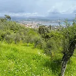 Gli Ulivi Sul Golfo E Le 5 Terre
