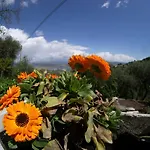 Apartamento Gli Ulivi Sul Golfo E Le 5 Terre *