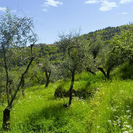 Gli Ulivi Sul Golfo E Le 5 Terre Apartmán La Spezia