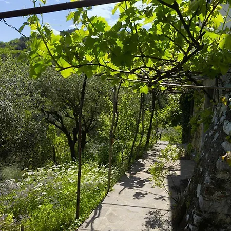 Apartment Gli Ulivi Sul Golfo E Le 5 Terre La Spezia