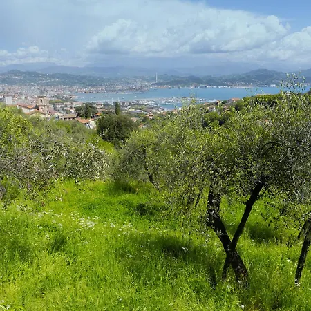 Gli Ulivi Sul Golfo E Le 5 Terre