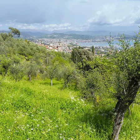 Gli Ulivi Sul Golfo E Le 5 Terre