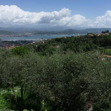 Gli Ulivi Sul Golfo E Le 5 Terre