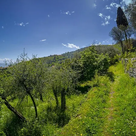 Apartment Gli Ulivi Sul Golfo E Le 5 Terre La Spezia
