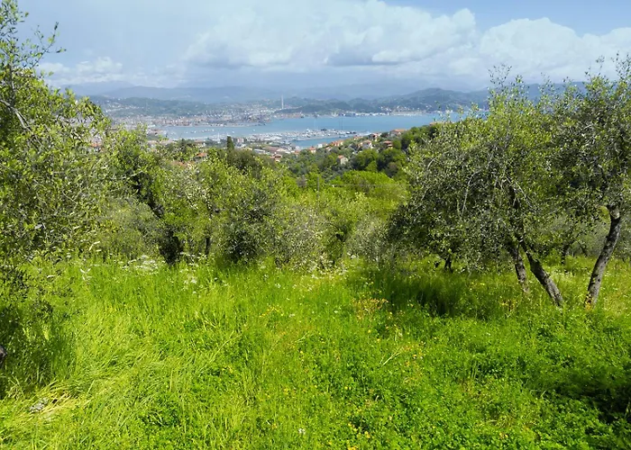 Gli Ulivi Sul Golfo E Le 5 Terre Apartmán *