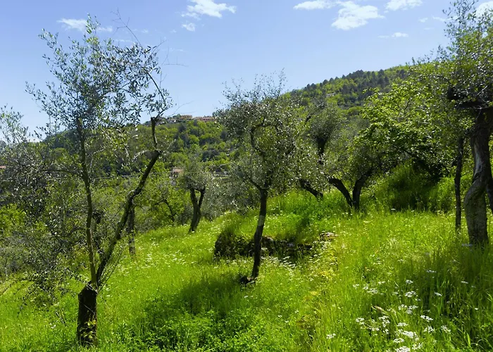 Gli Ulivi Sul Golfo E Le 5 Terre Apartmán La Spezia