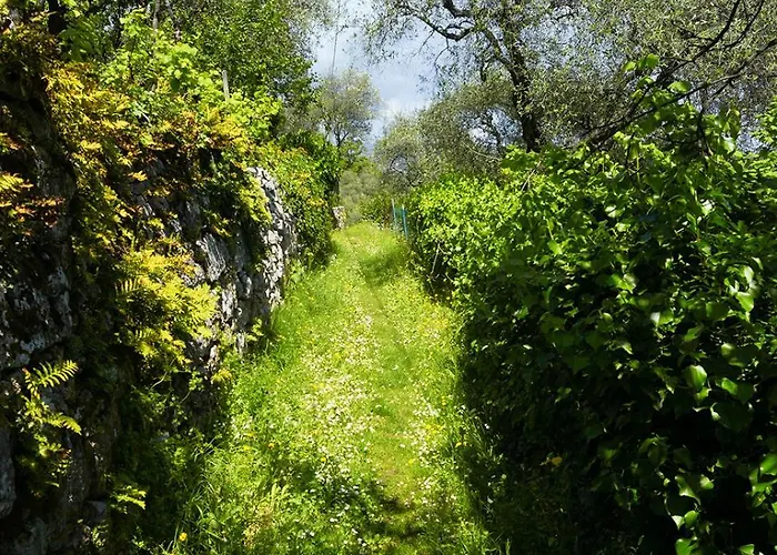 Gli Ulivi Sul Golfo E Le 5 Terre La Spezia