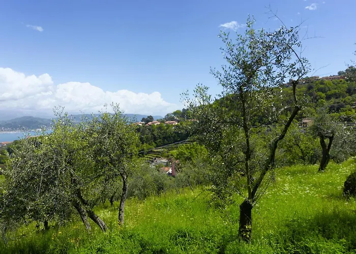 Gli Ulivi Sul Golfo E Le 5 Terre