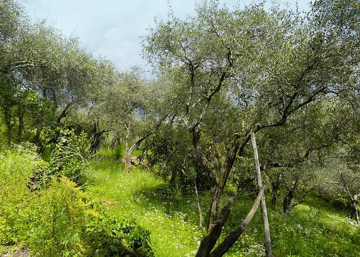 Apartmán Gli Ulivi Sul Golfo E Le 5 Terre La Spezia