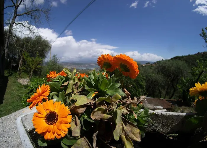 Apartmán Gli Ulivi Sul Golfo E Le 5 Terre *