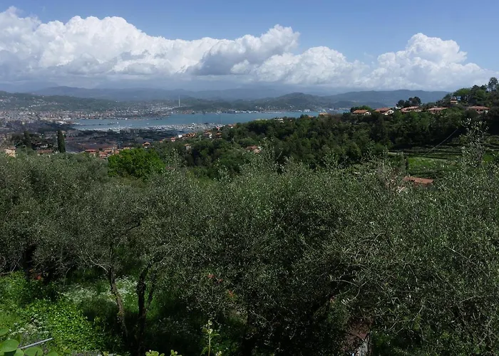 Gli Ulivi Sul Golfo E Le 5 Terre
