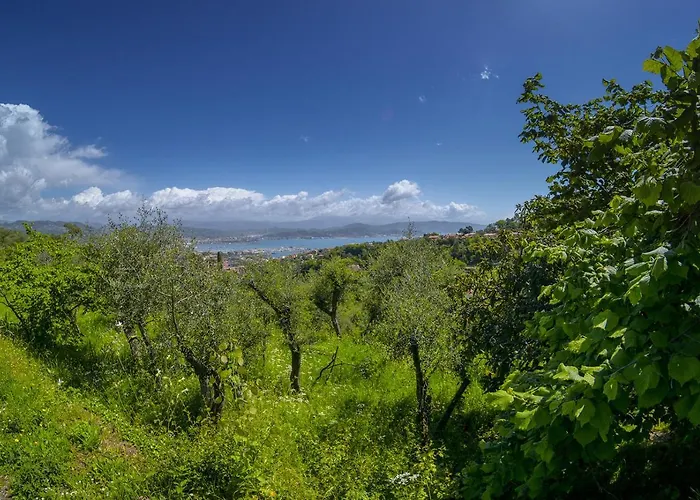 Gli Ulivi Sul Golfo E Le 5 Terre Apartmán