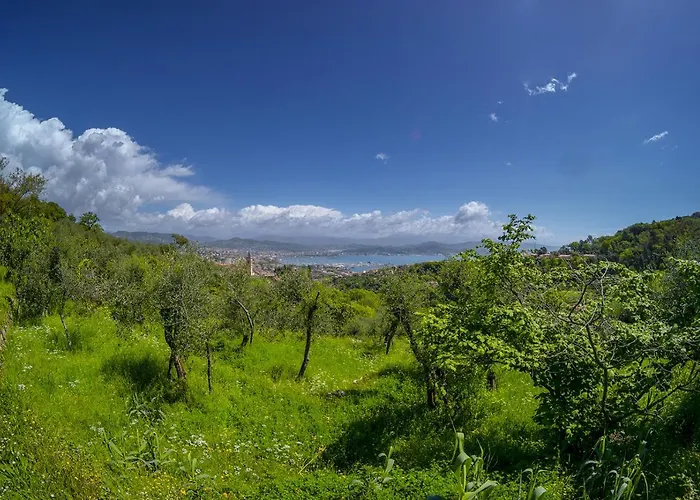 Gli Ulivi Sul Golfo E Le 5 Terre Apartment *