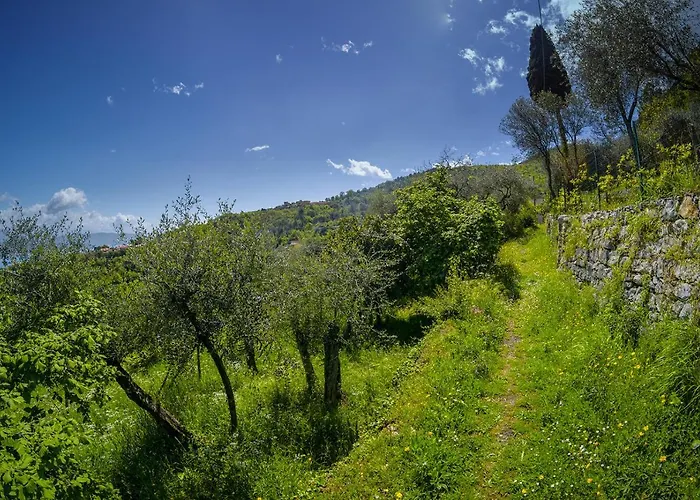 Apartmán Gli Ulivi Sul Golfo E Le 5 Terre La Spezia